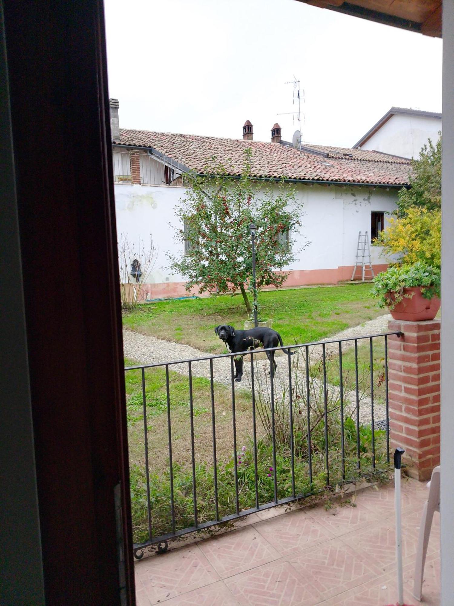 Cascina Trapella Villa Terruggia Ngoại thất bức ảnh